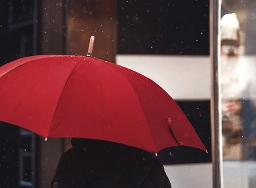 Best Branded Umbrellas on a Budget