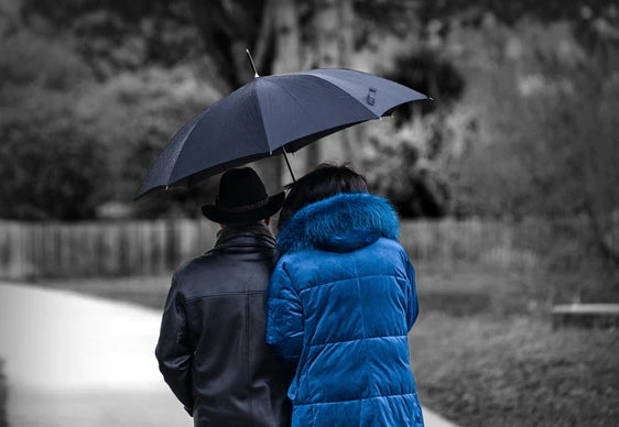 Top Branded Winter Umbrella Choices