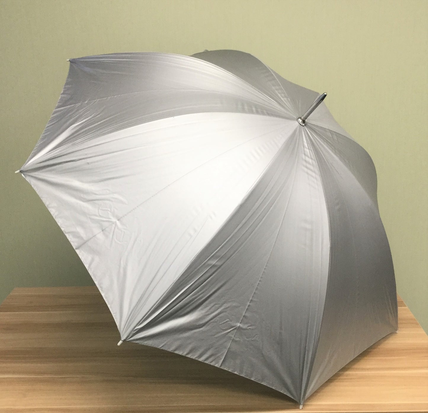 Silver Sports Umbrella