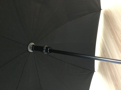 Skytrain Inverted Umbrella