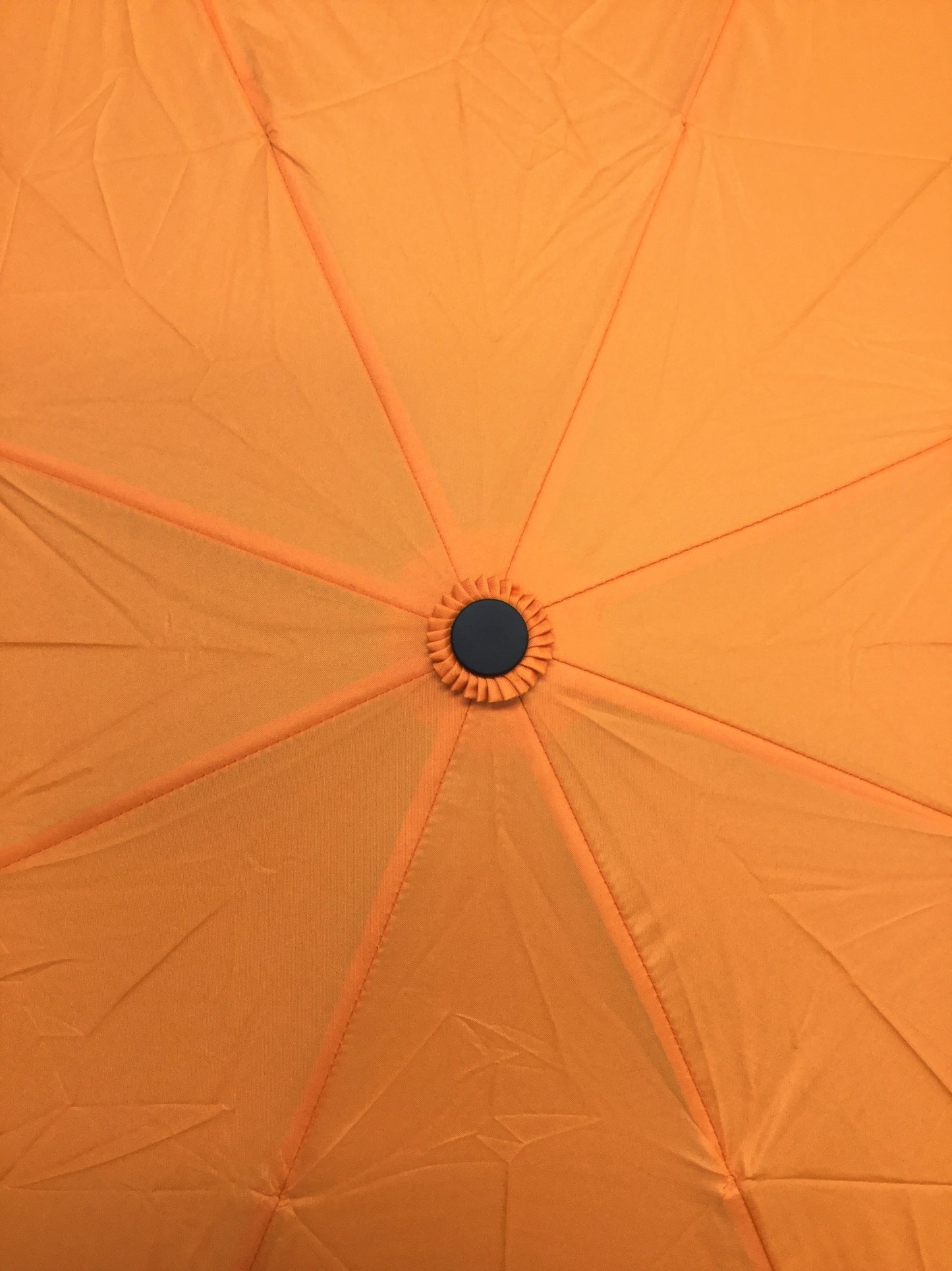 ZuZu Portable Umbrella